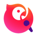 在线代理服务器免费网页版vp加速器永久免费版