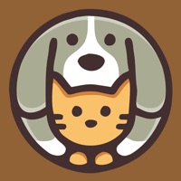 最新ssr服务器分享网