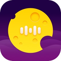 旋风专业版ios