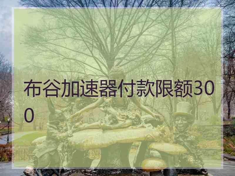 布谷加速器付款限额300