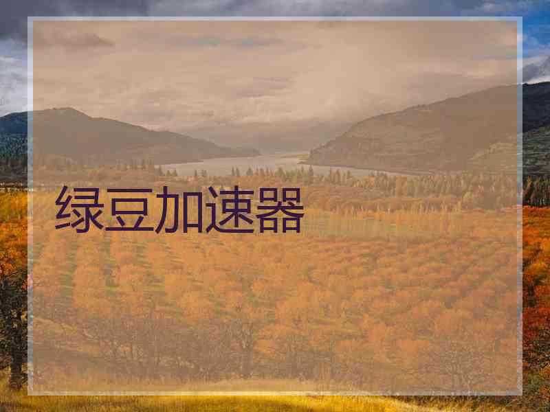 绿豆加速器