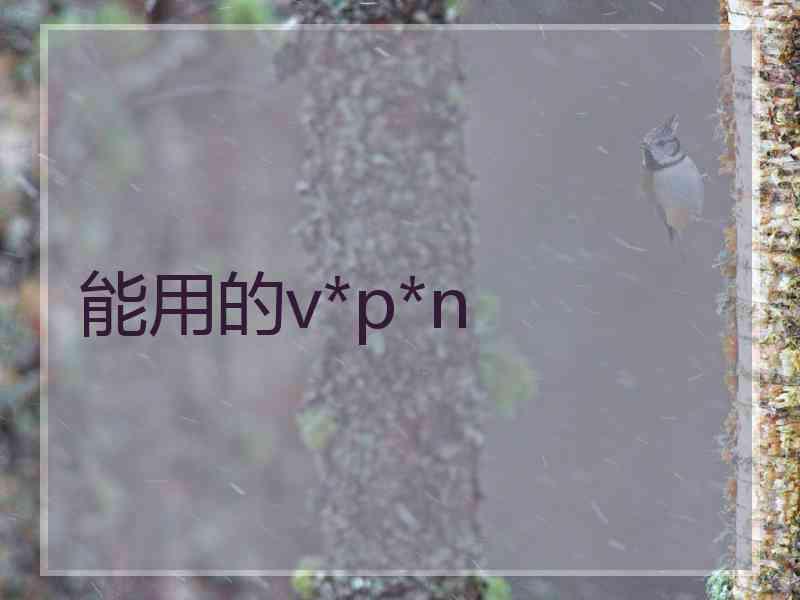 能用的v*p*n