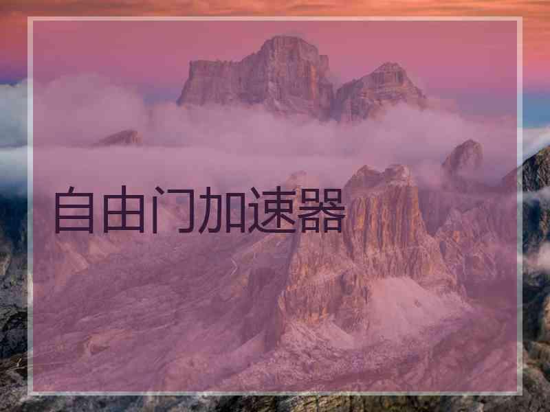 自由门加速器