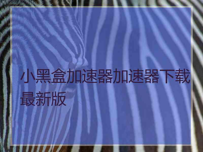 小黑盒加速器加速器下载最新版