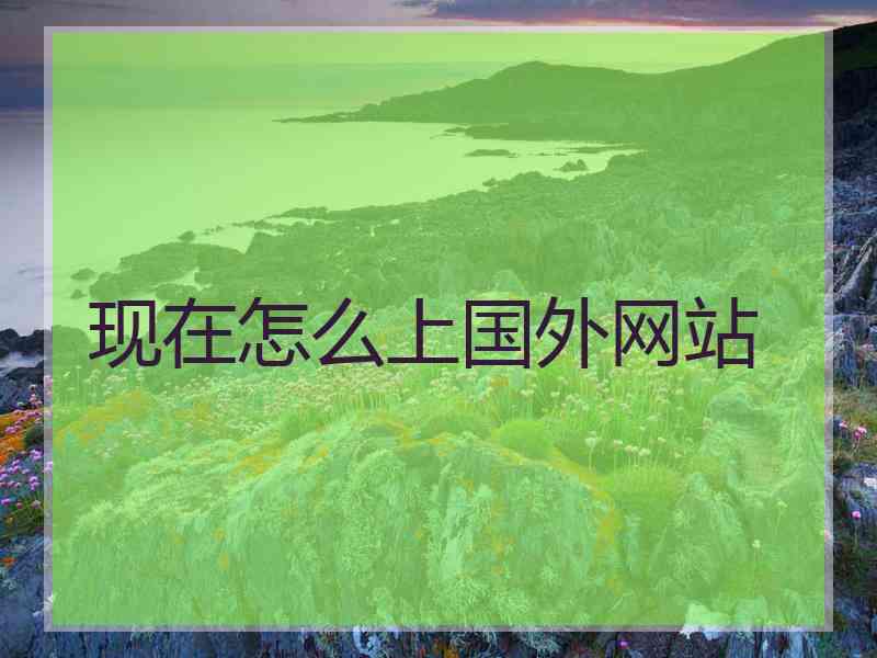 现在怎么上国外网站