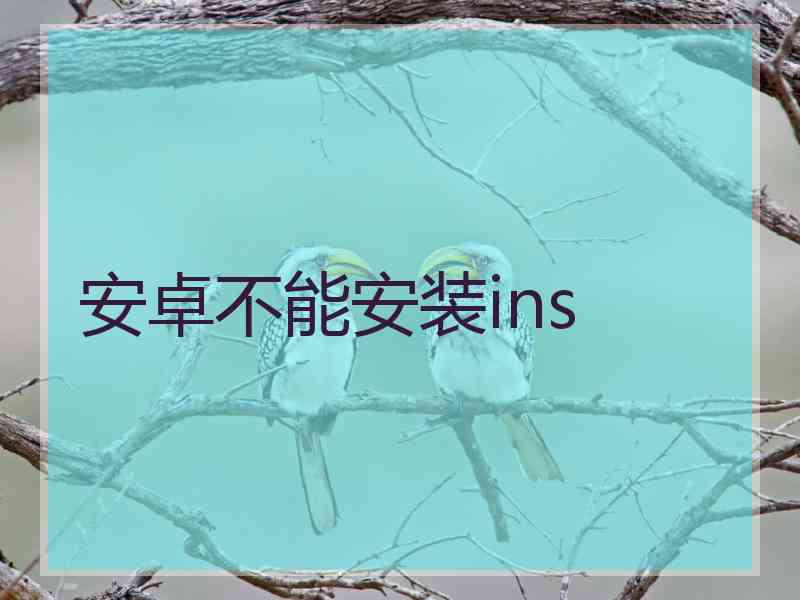 安卓不能安装ins