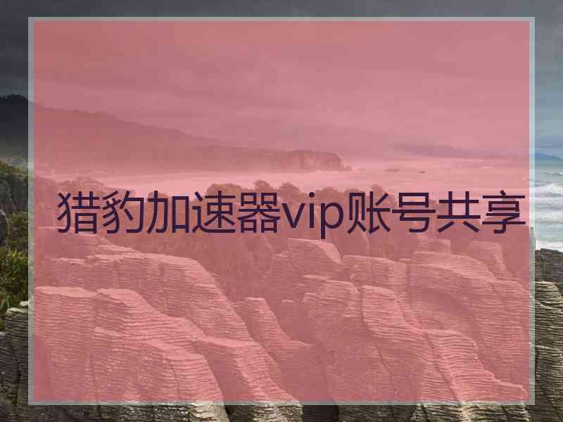 猎豹加速器vip账号共享