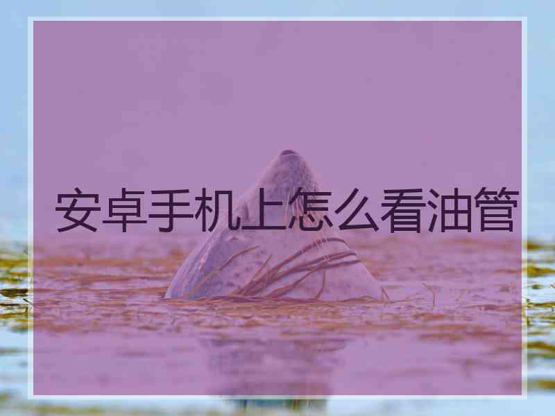 安卓手机上怎么看油管