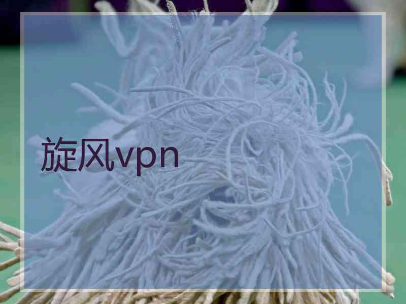 旋风vpn