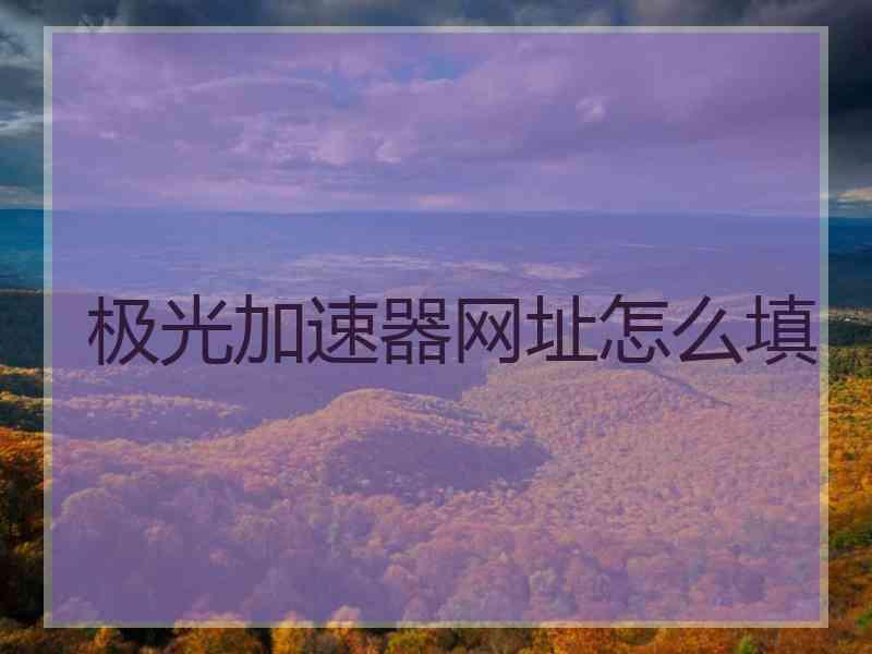 极光加速器网址怎么填